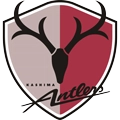 Kashima Antlers